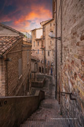 urbino
